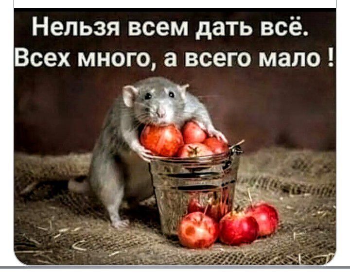 Нельзя всем дать всё. Всех много, а всего мало!