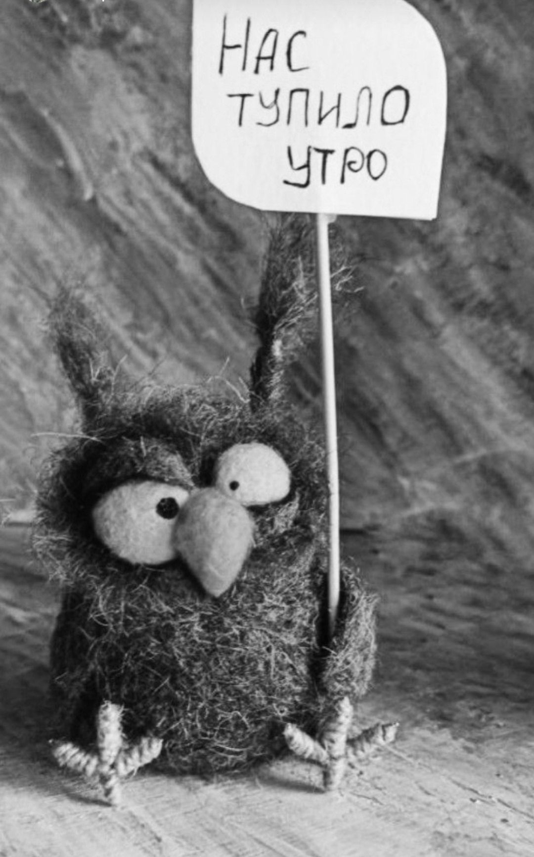 Нас тупило утро