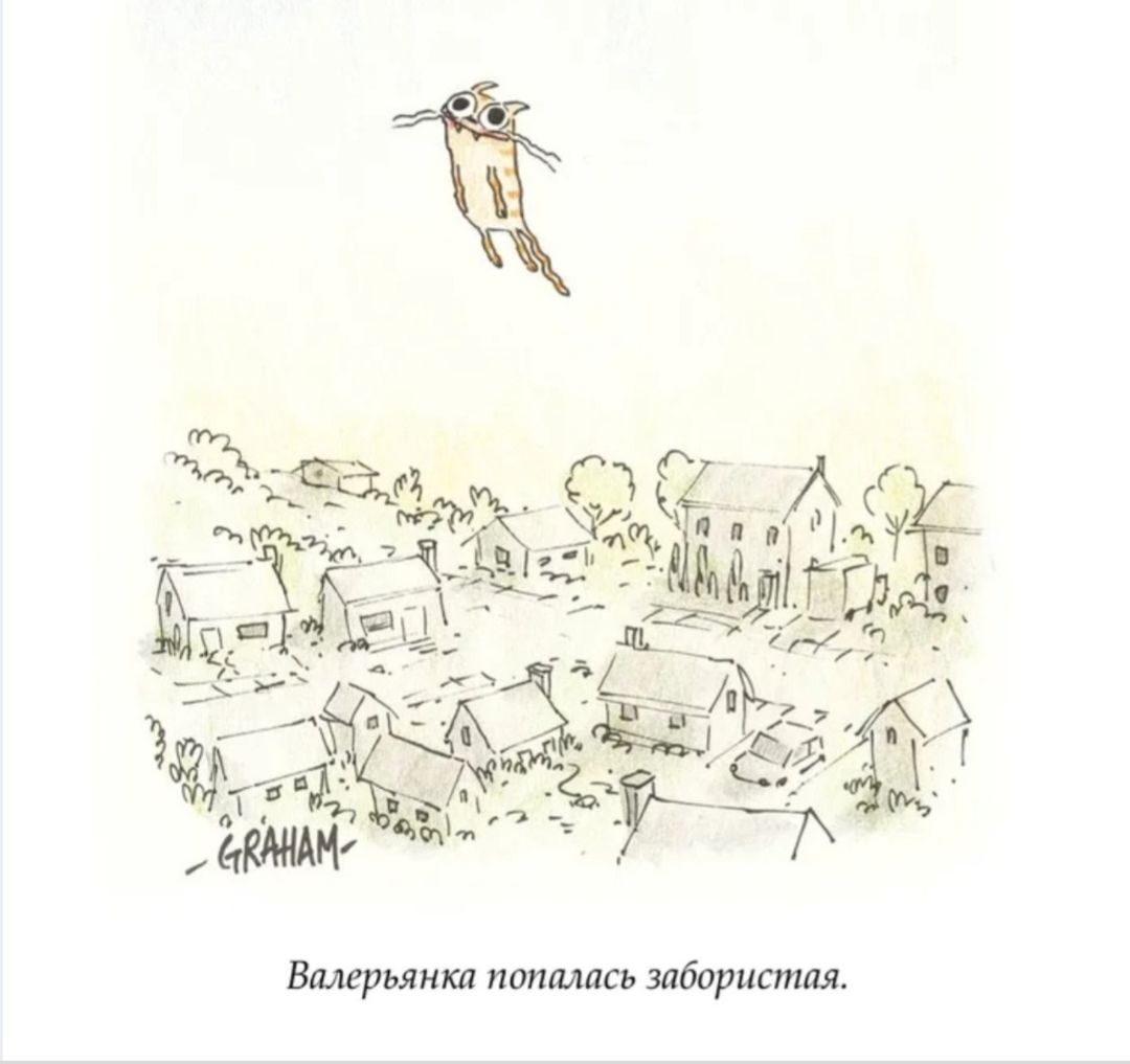 Валерьянка попалась забористa.