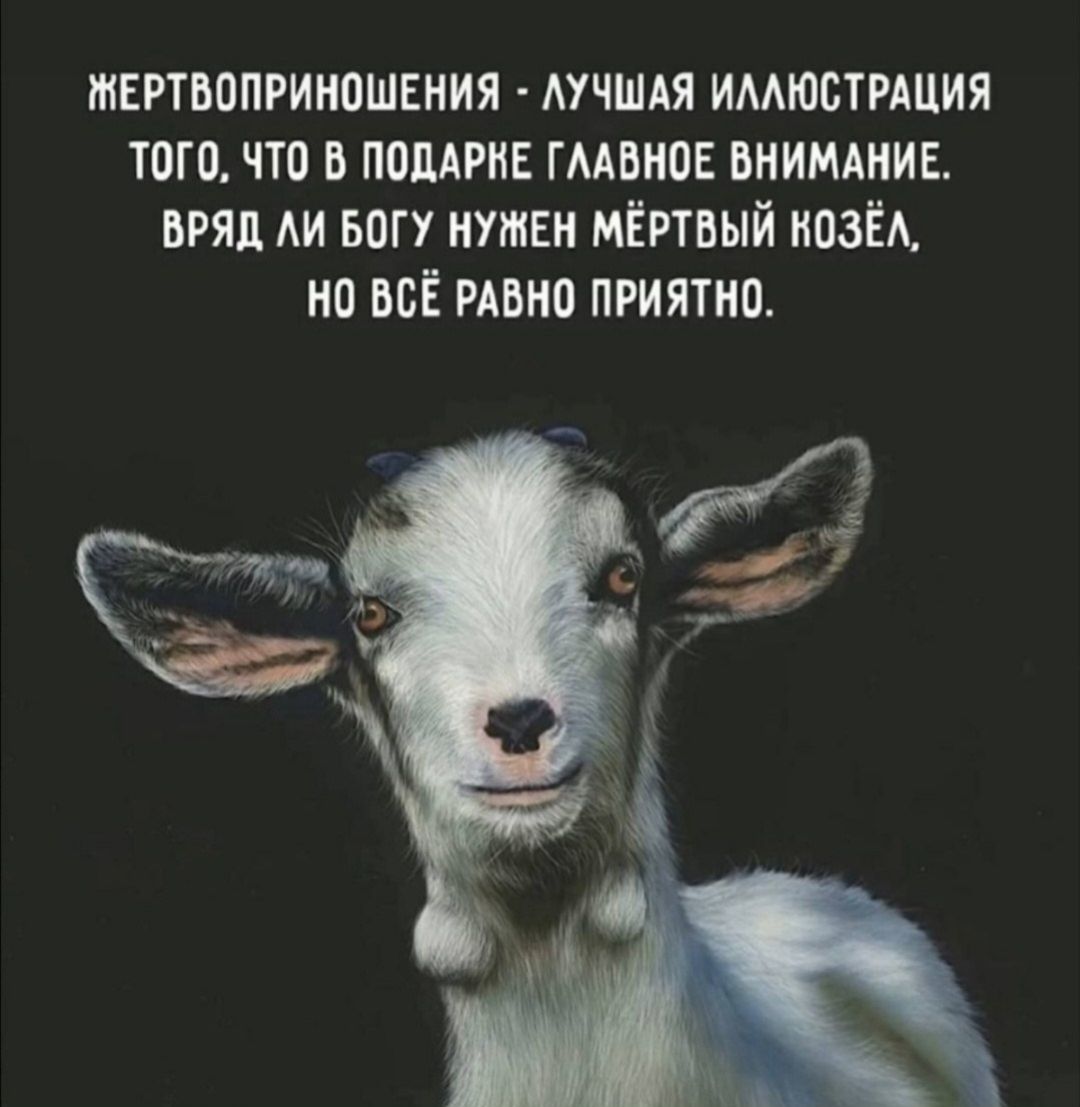 ЖЕРТВОПРИНОШЕНИЯ - ЛУЧШАЯ ИЛЛЮСТРАЦИЯ ТОГО, ЧТО В ПОДАРКЕ ГЛАВНОЕ ВНИМАНИЕ. ВРЯД ЛИ БОГУ НУЖЕН МЁРТЫЙ КОЗЁЛ, НО ВСЁ РАВНО ПРИЯТНО.