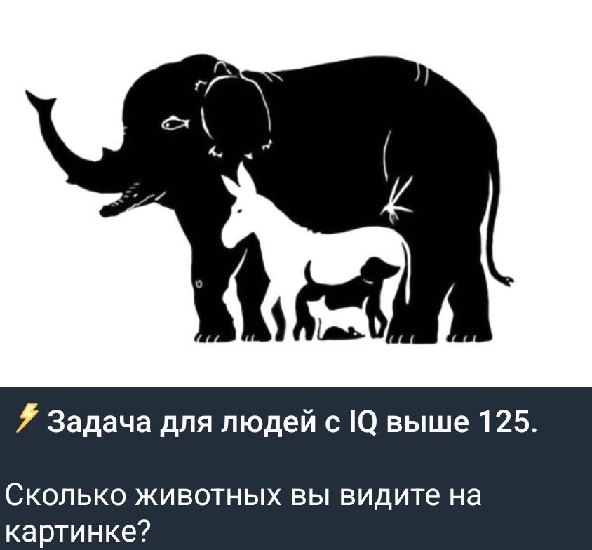 Задача для людей с IQ выше 125. Сколько животных вы видите на картинке?