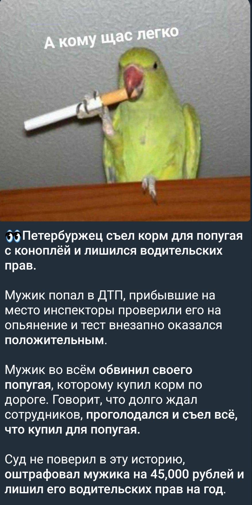 А кому щас легко
👀Петербургжeц съёл корм для попугая с коноплёй и лишился водительских прав. Мужик попал в ДТП, прибывшие на место инспекторы проверили его на опьянение и тест внезапно оказался положительным. Мужик во всём обвинил своего попугая, который купил корм по дороге. Суд не поверил в эту историю, оштрафовал мужика на 45 000 рублей и лишил его водительских прав на год.