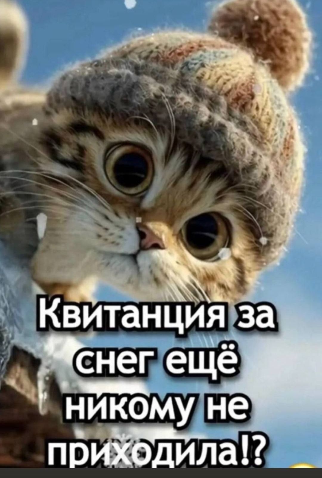 Квитанция за снег ещё никому не приходила!?