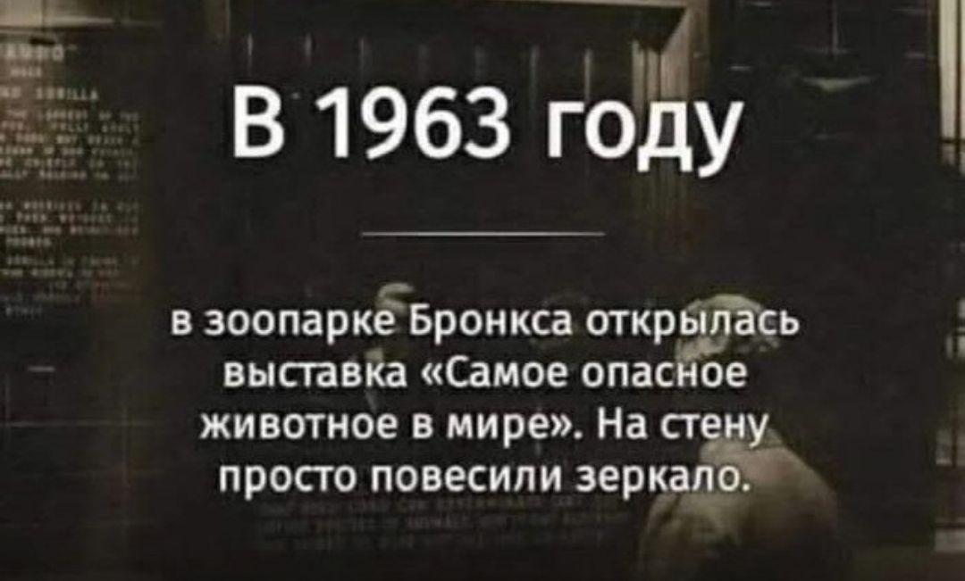 В 1963 году
В зоопарке Бронкса открылась выставка «Самое опасное животное в мире». На стену просто повесили зеркало.