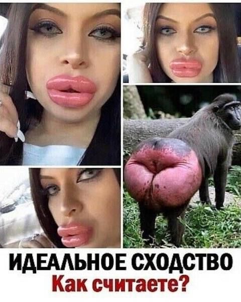 ИДЕАЛЬНОЕ СХОДСТВО Как считаете?