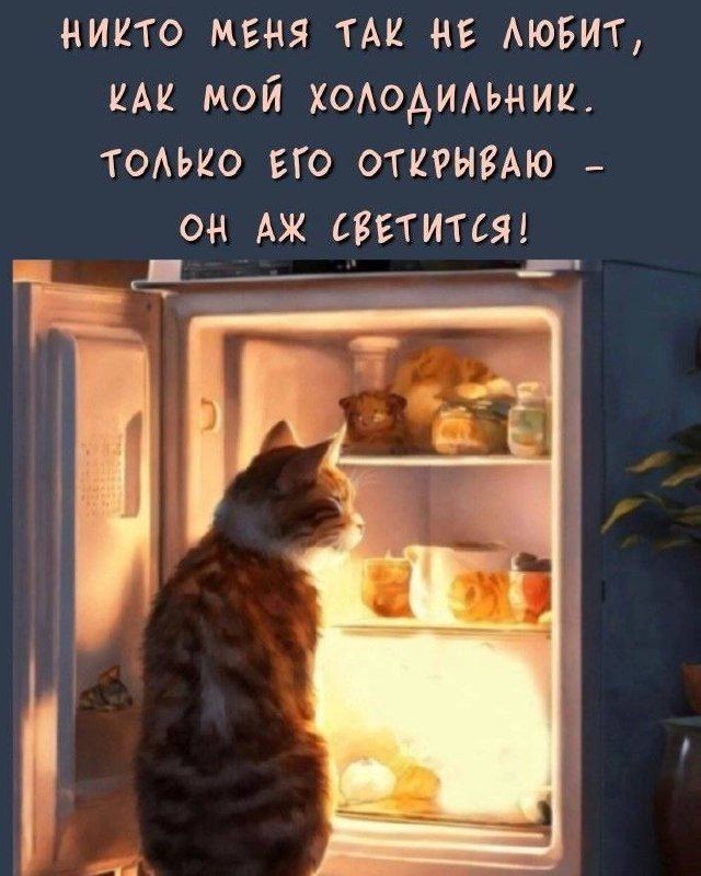 НИКТО МЕНЯ ТАК НЕ ЛЮБИТ, КАК МОЙ ХОЛОДИЛЬНИК. ТОЛЬКО ЕГО ОТКРЫВАЮ - ОН АЖ СВЕТИТСЯ!