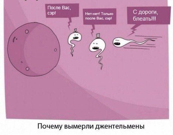 После Вас, сэр! Нет-нет! Только после Вас, сэр! С дороги, блять!!!

Почему вымерли джентльмены