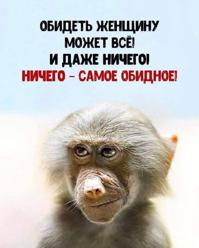 ОБИДЕТЬ ЖЕНЩИНУ МОЖЕТ ВСЁ! И ДАЖЕ НИЧЕГО НИЧЕГО - САМоЕ ОБИДНОЕ!