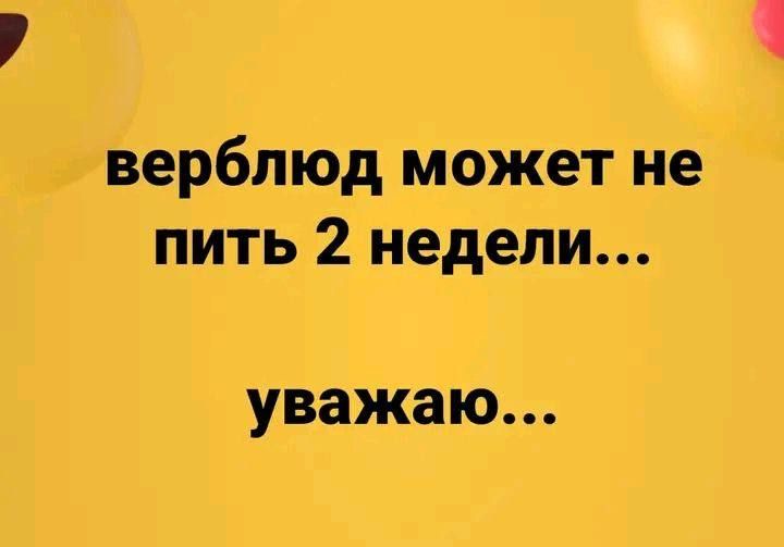верблюд может не пить 2 недели... уважаю...