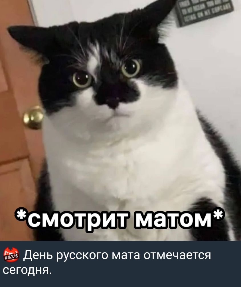 *смотрит матом*
День русского мата отмечается сегодня.
