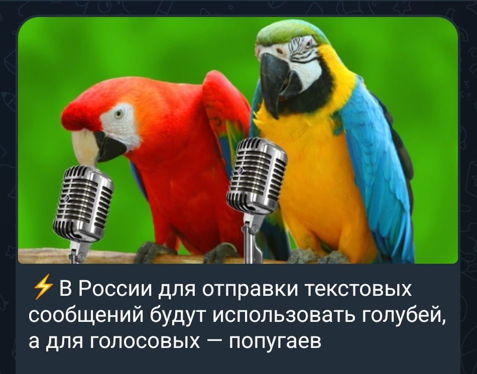 ⚡ В России для отправки текстовых сообщений будут использовать голубей, а для голосовых — попугаев