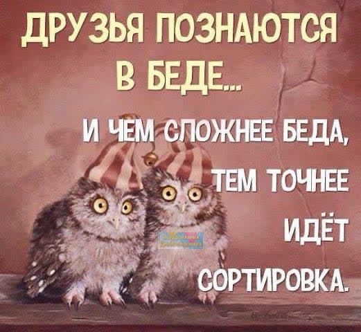 ДРУЗЬЯ ПОЗНАЮТСЯ В БЕДЕ ЁЁ ты ТОЧ ЕЕ идёт