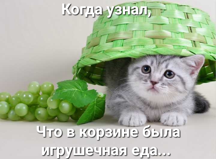 Когда йЁЁ Ёт игрушечная ада