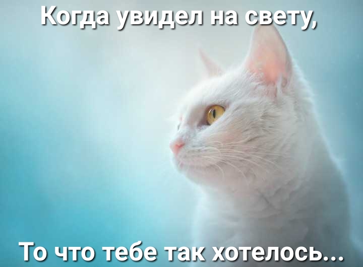 эгп1 увидел на г злу тебе так Ётелось