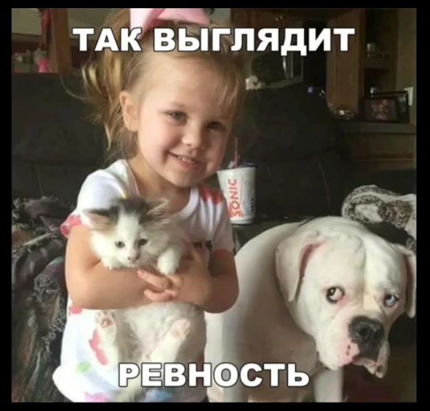 ТАЕ ВЫ ГЛЯДИТ