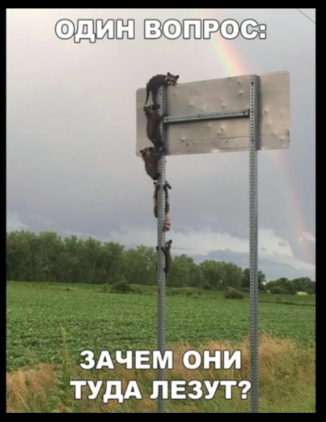 ШЁ Б