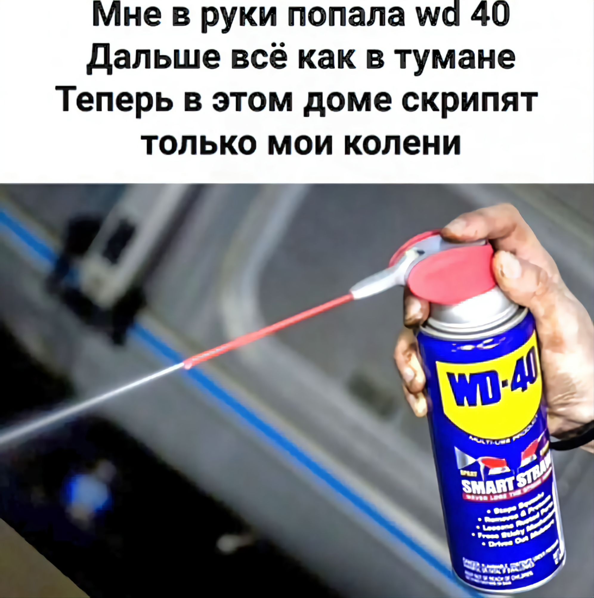 не в руки попала А дальше всё как в тумане Теперь в этом доме скрипят только мои колени