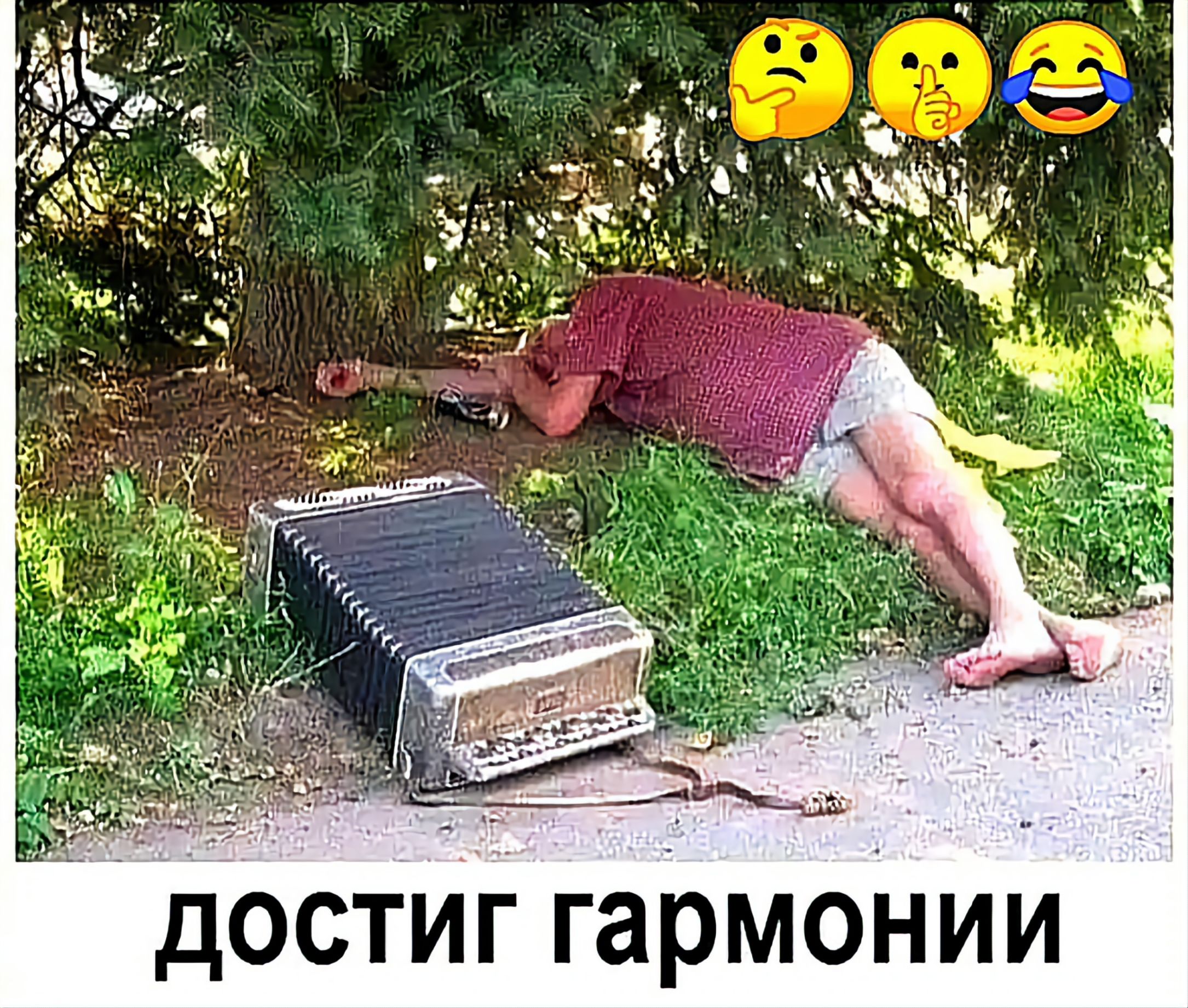 достиг гармонии