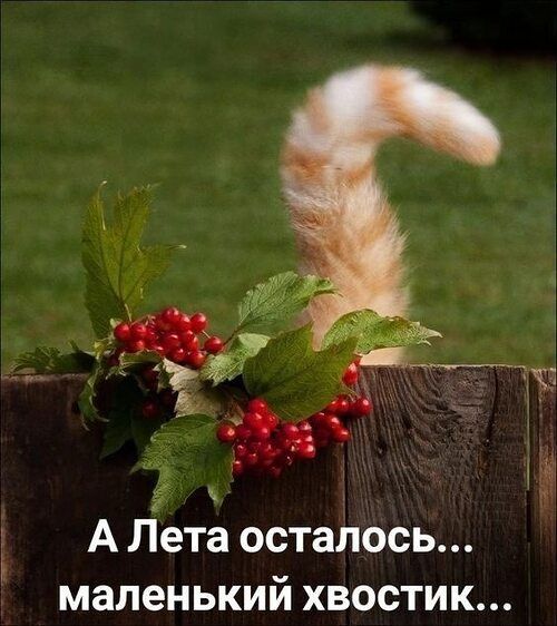 А Лета осталось маленький хвостик