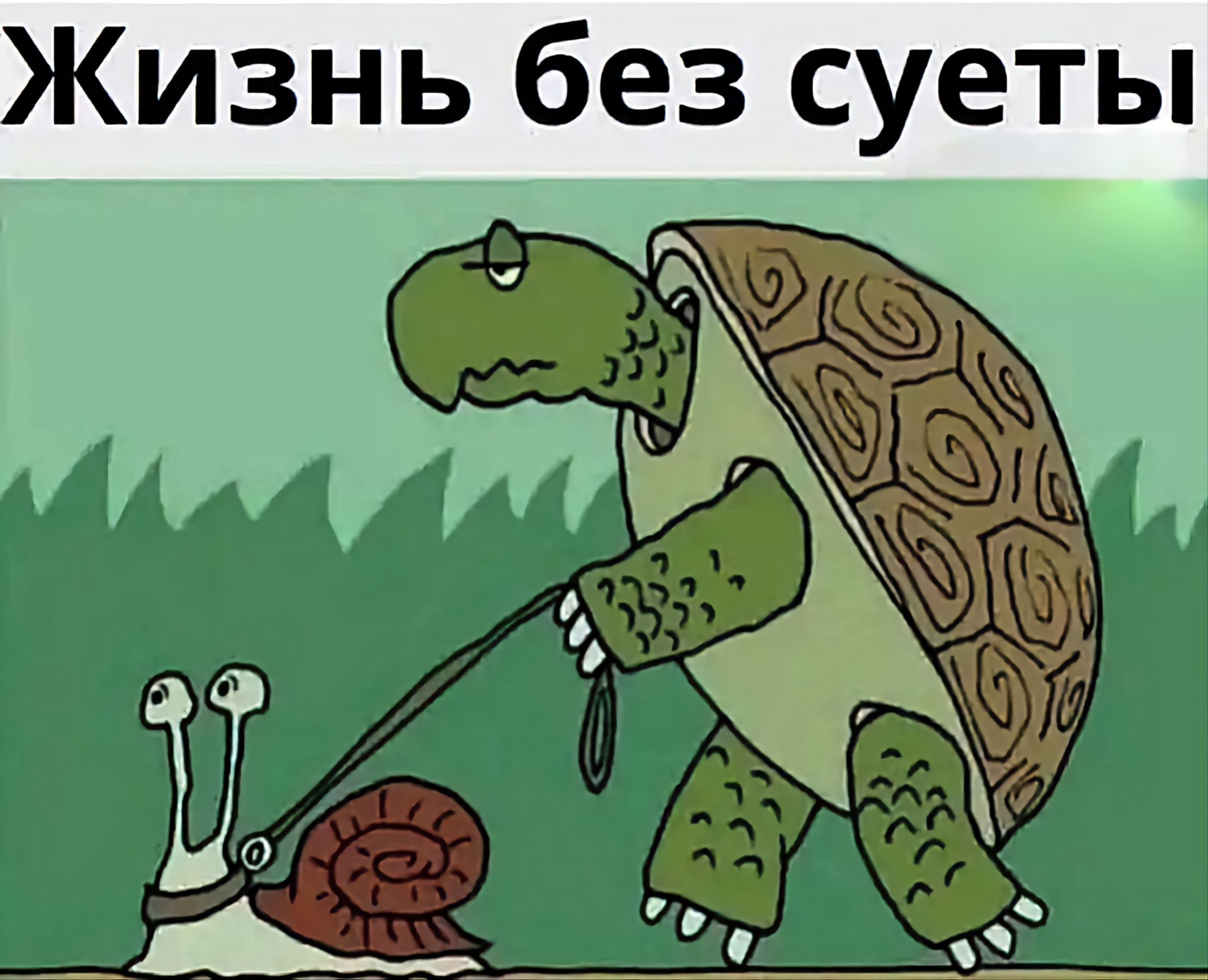 Изнь без суеты