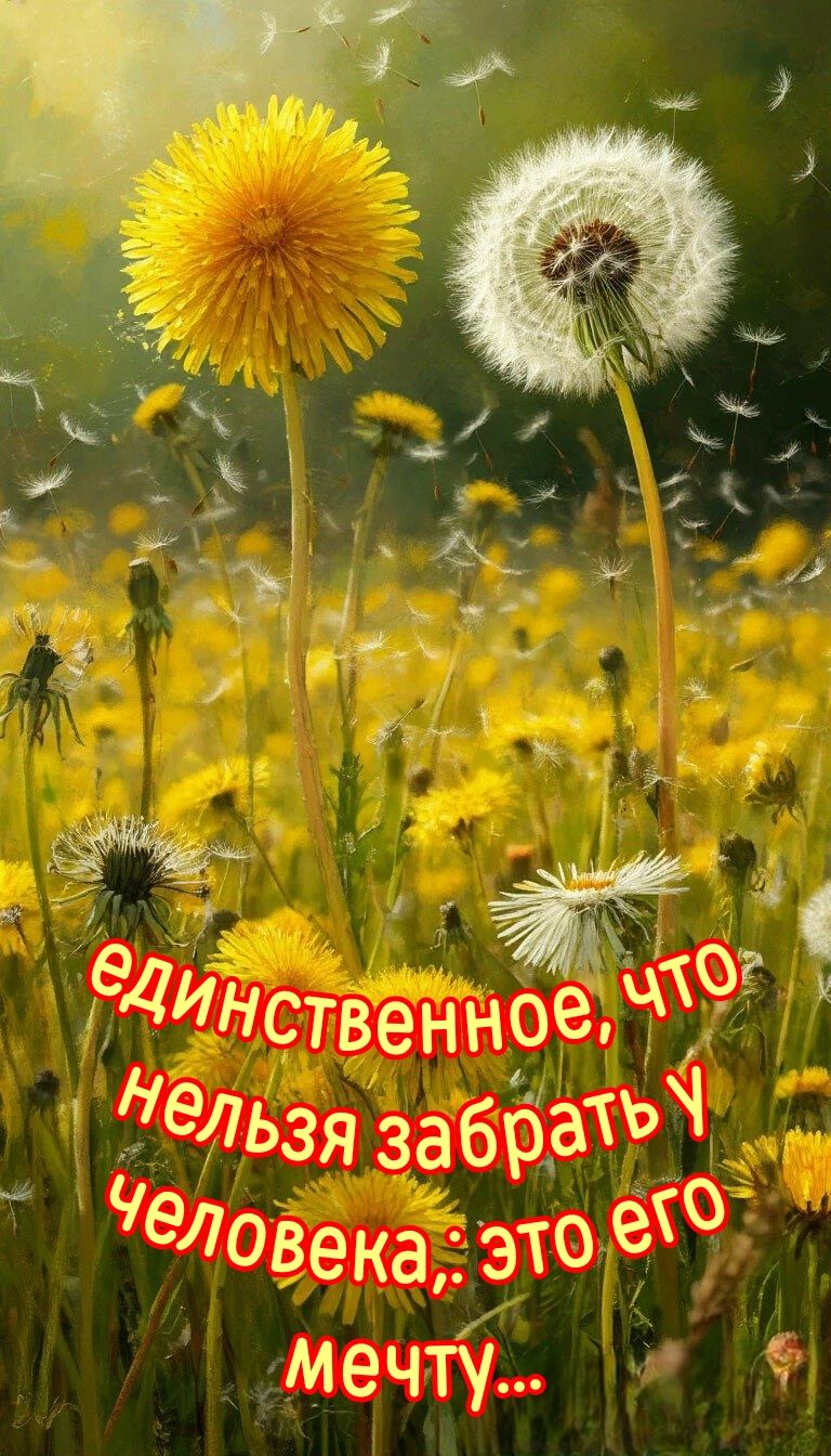 единственное, что нельзя забрать у человека: это его мечту...