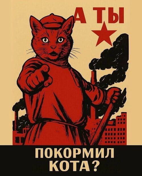 А ТЫ ПОКОРМИЛ КОТА?