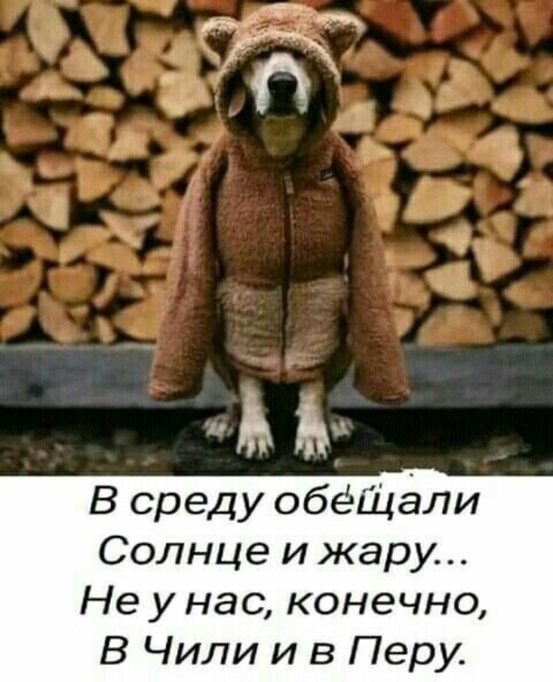 В среду обещали Солнце и жару... Не у нас, конечно, В Чили и в Перу.