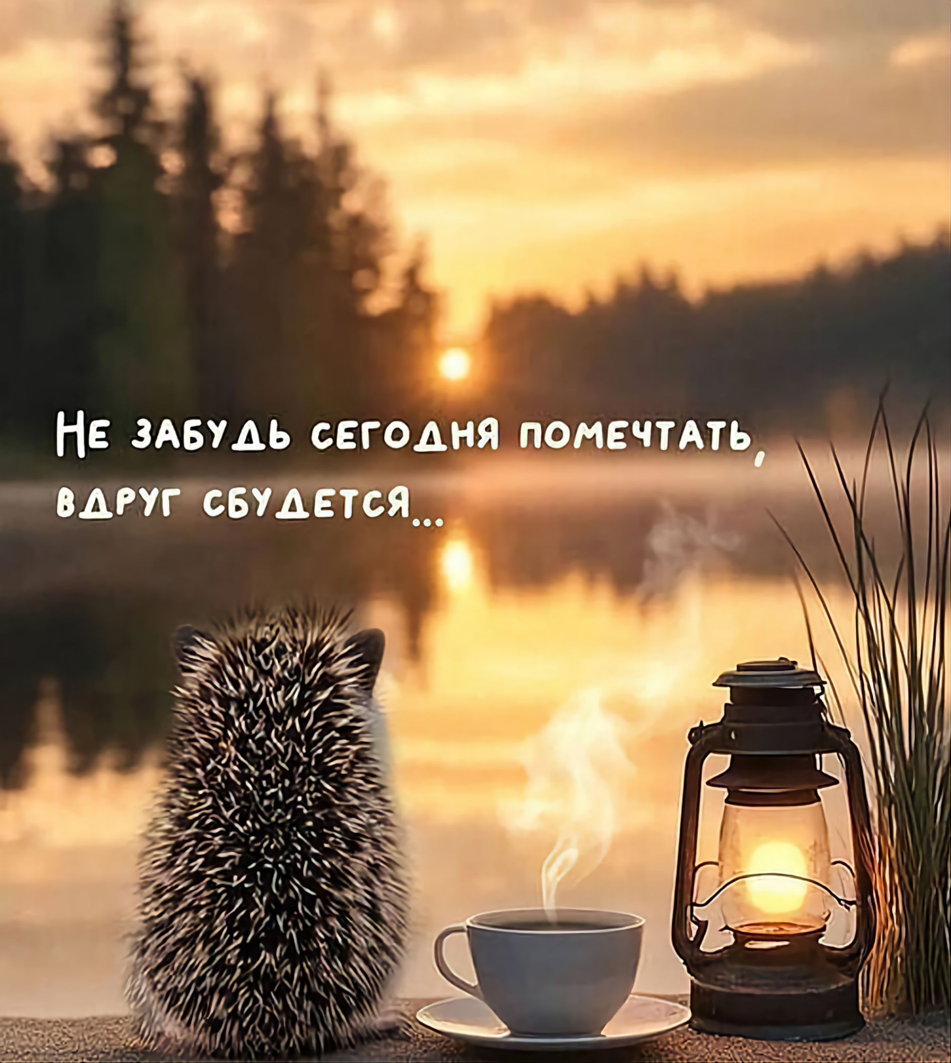 Не забудь сегодня помечтать, вдруг сбудется...