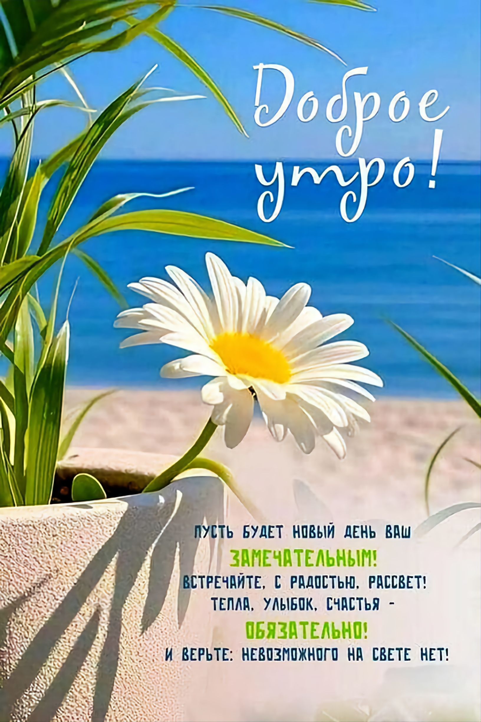 Доброе утро! Пусть будет новый день ваш замечательным! Встречайте. С радостью, расцвет! Тепла, улыбок, счастья - обязательно! И верьте: невозможного на свете нет!
