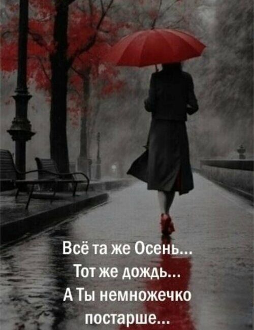 Всё та же Осень... Тот же дождь... А Ты немножечко постарше...