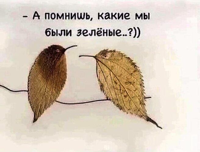 - А помнишь, какие мы были зелёные..?))