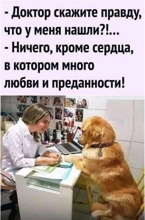 Доктор скажите правду, что у меня нашли?!... Ничего, кроме сердца, в котором много любви и преданности!
