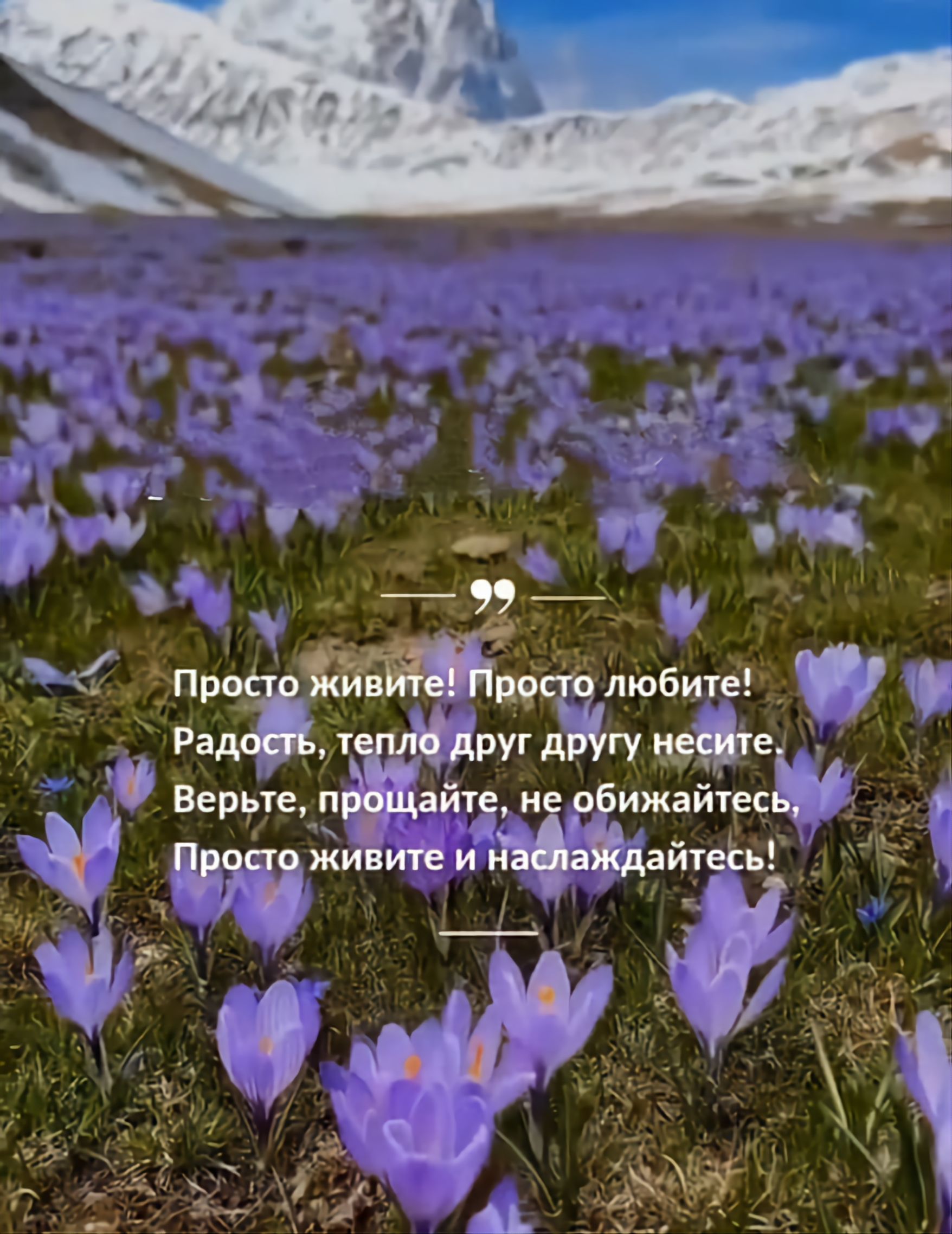 Просто живите! Просто любите! Радость, тепло друг другу несите. Верните, прощайте, не обижайтесь, Просто живите и наслаждайтесь.