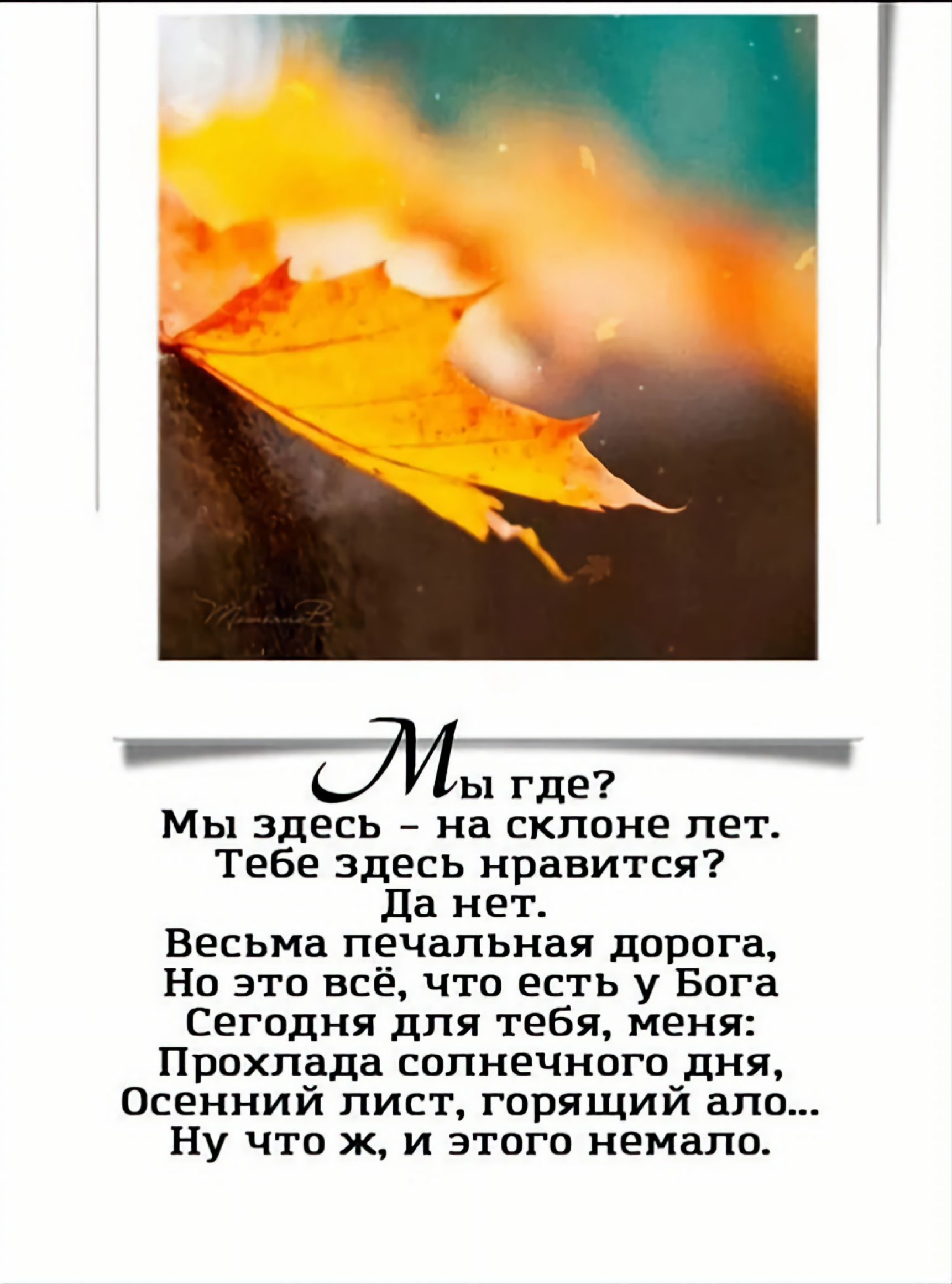 Мы где? Мы здесь – на склоне лет. Тебе здесь нравится? Да нет. Весьма печальная дорога, Но это всё, что есть у Бога Сегодня для тебя, меня: Прохлада солнечного дня, Осенний лист, горящий ала… Ну что ж, и этого немало.