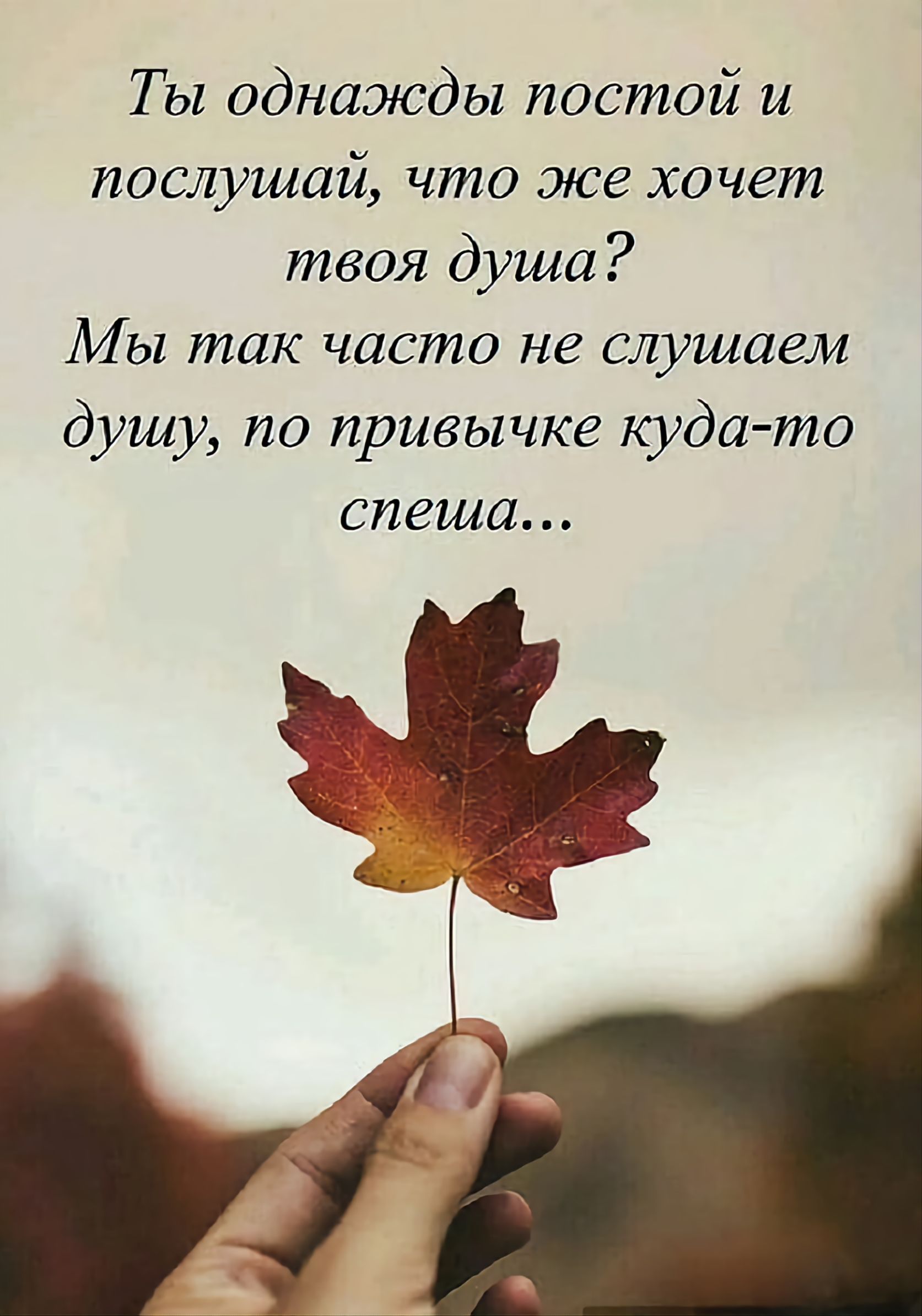 Ты однажды постой и послушай, что же хочет твоя душа? Мы так часто не слушаем душу, по привычке куда-то спеша...