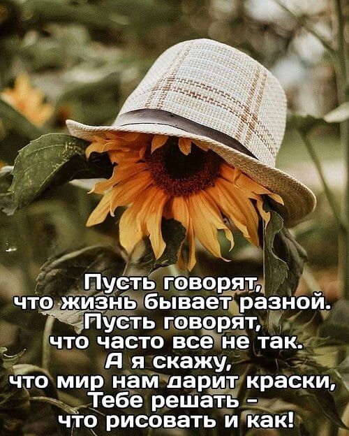 Пусть говорят, что жизнь бывает разной.
Пусть говорят, что чаще всё не так.
А я скажу, что мир нам дарит краски,
Тебе решать - что рисовать и как!