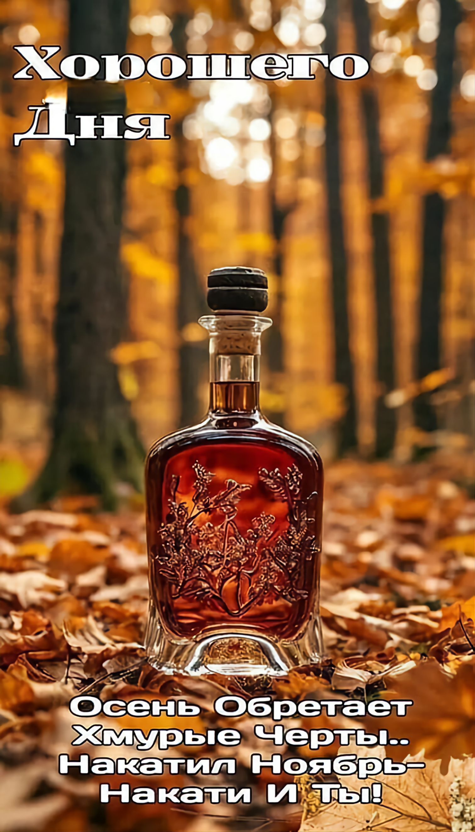 Хорошего дня Осень обретает Хмурые Черты- Накапати Ноябрь- Накачать И Ты!