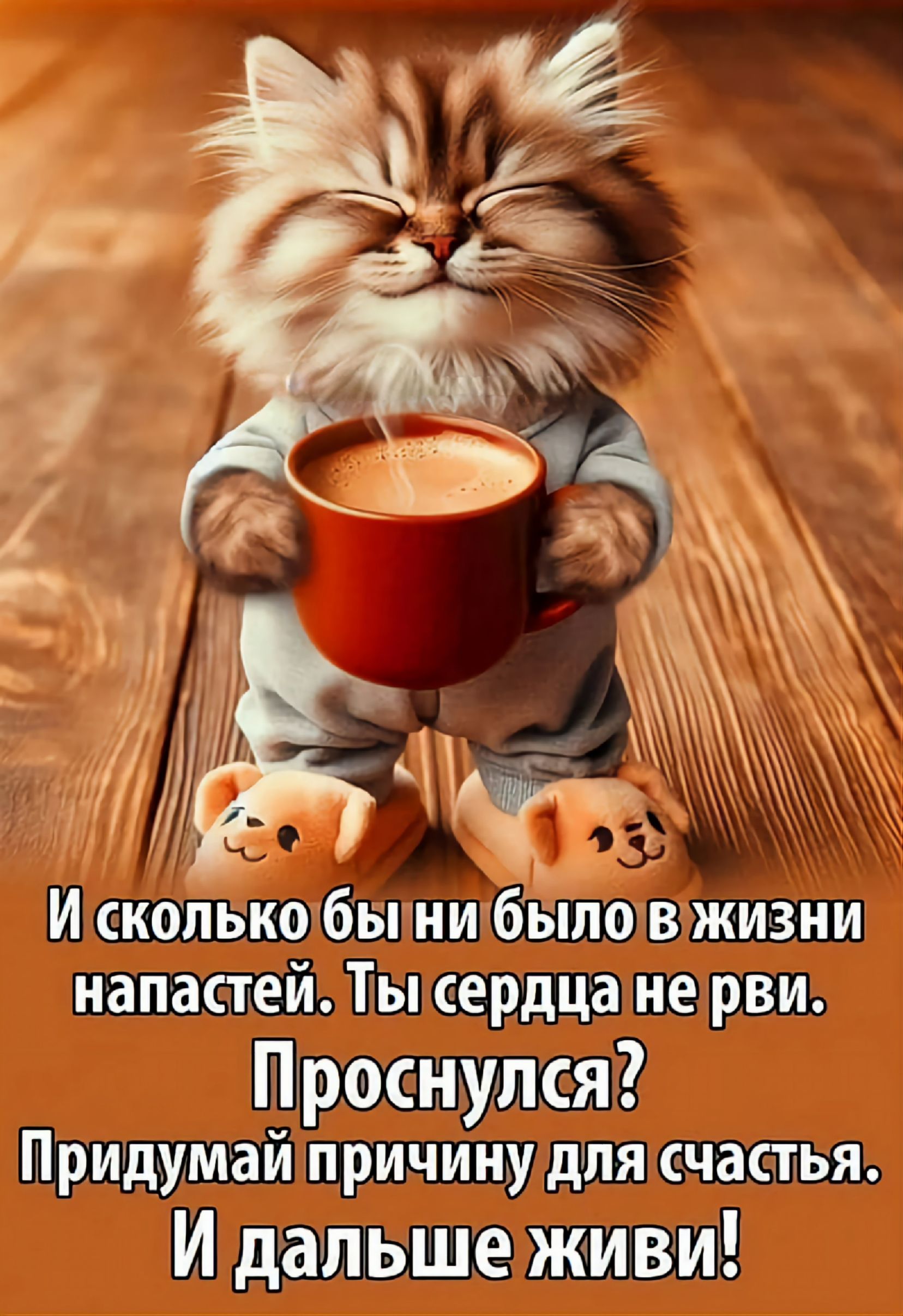 И сколько бы ни было в жизни напастей. Ты сердце не рви. Проснулся? Придумай причину для счастья. И дальше живи!