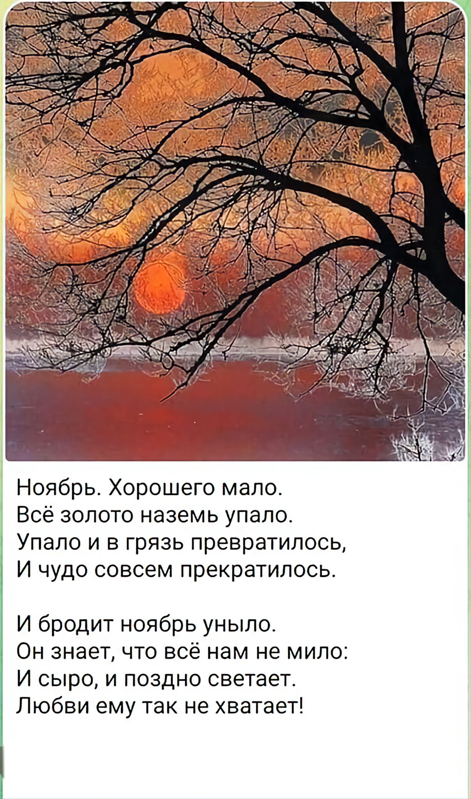 Ноябрь. Хорошего мало. Всё золото наземь упало. Упало и в грязь превратилось, И чудо совсем прекратилось. И бродит ноябрь уныло. Он знает, что всё нам не мило: И сыро, и поздно светает. Любви ему так не хватает!