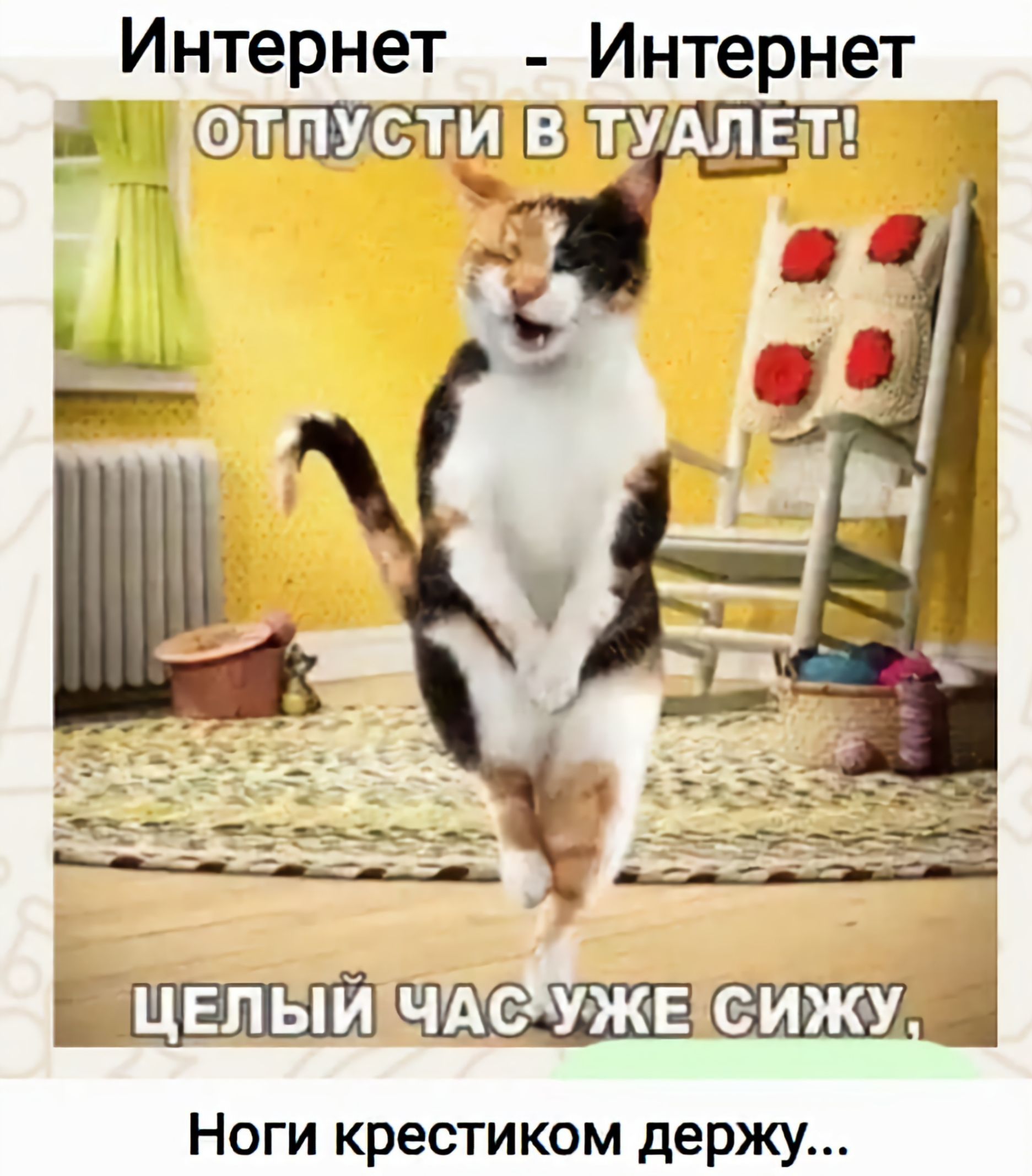 Интернет - Интернет отпусти в туалет! Целый час уже сижу.