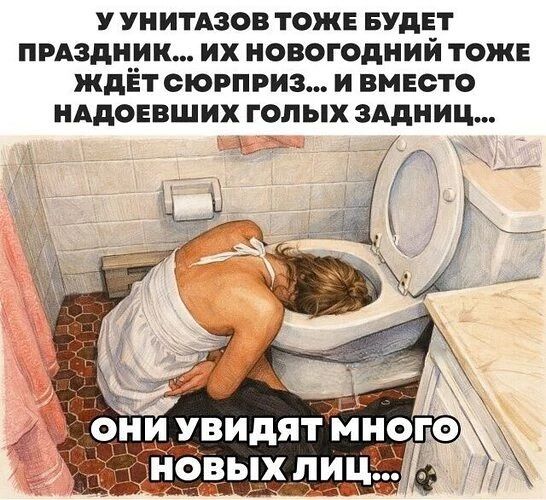 У унитазов тоже будет праздник... их новогодний тоже ждёт сюрприз... и вместо надоевших голых задниц... они увидят много новых лиц...