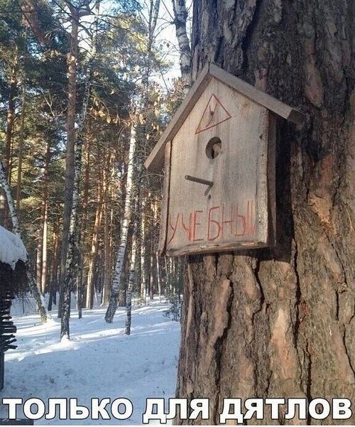 Учебы
ТОЛЬКО ДЛЯ ДЯТЛОВ