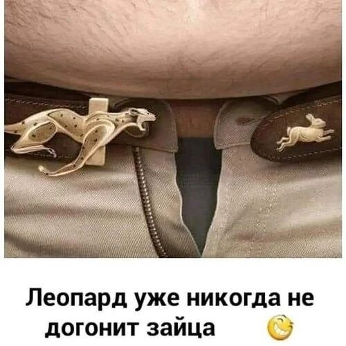 Леопард уже никогда не догонит зайца