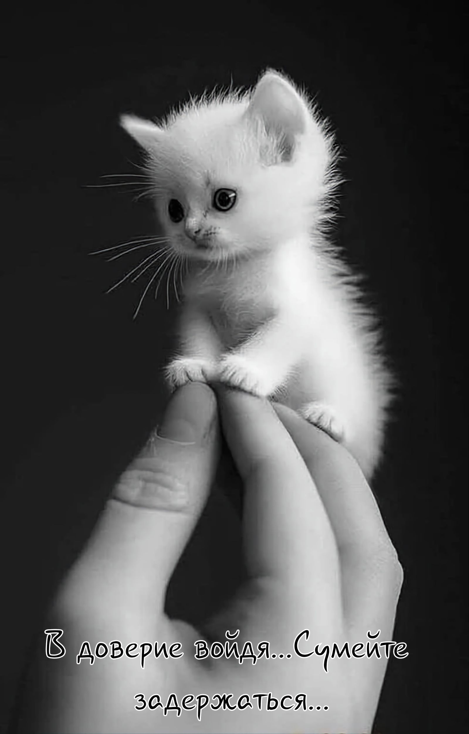 В доверче войдя... Сумейте задержаться...