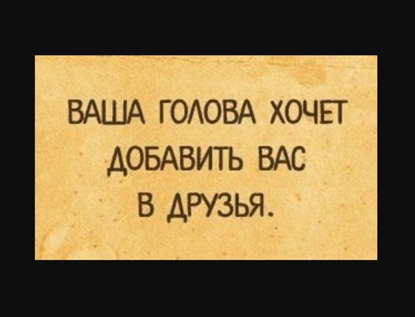 ВАША ГОЛОВА ХОЧЕТ ДОБАВИТЬ ВАС В ДРУЗЬЯ.
