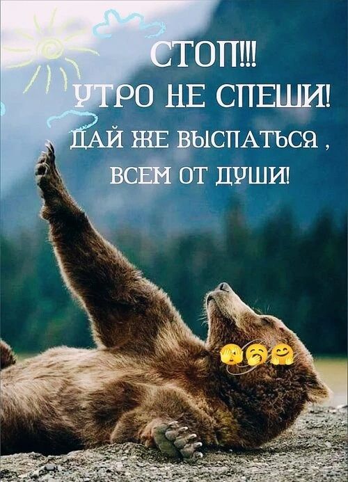 СТОП!!! УТРО НЕ СПЕШИ! ДАЙ ЖЕ ВЫСПАТЬСЯ, ВСЕМ ОТ ДУШИ!
