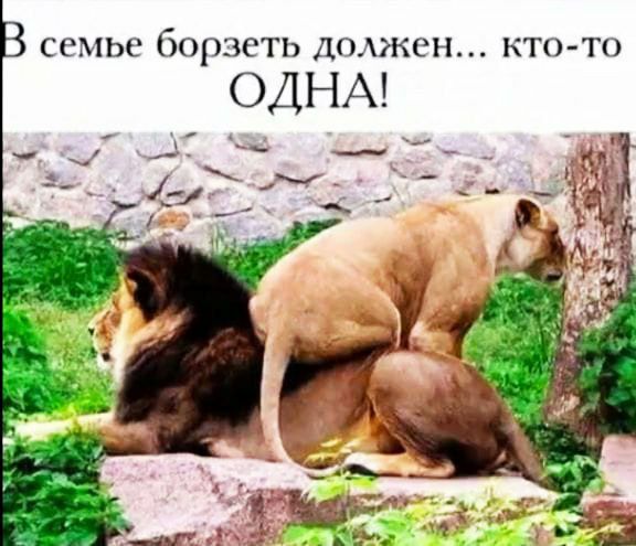 В семье бороться должен... кто-то ОДНА!