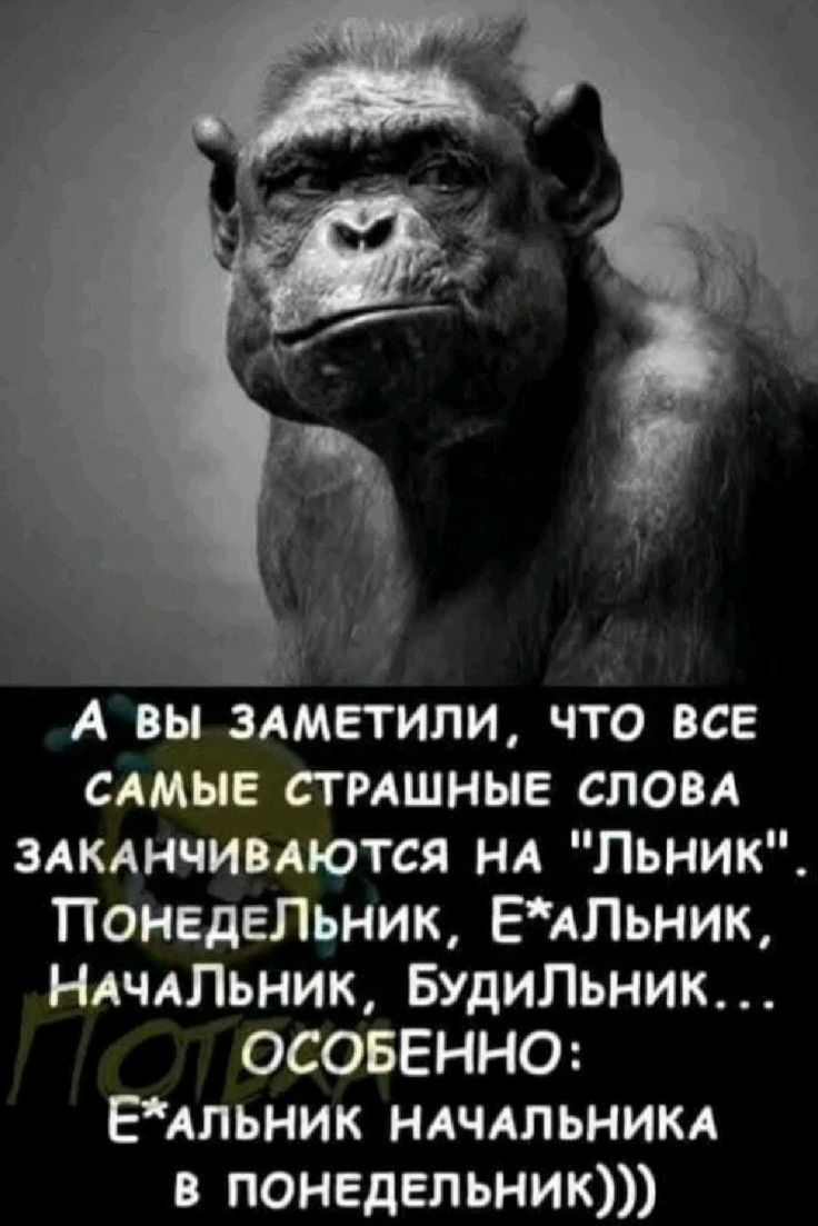 А ВЫ ЗАМЕТИЛИ ЧТО ВСЕ САМЫЕ СТРАШНЫЕ СЛОВА ЗАКАНЧИВАЮТСЯ НА Льник ПоОНЕДЕЛЬНИК ЕАЛЬНИК НАЧАЛЬНИК БУДИЛЬНИК ОСОБЕННО ЕАЛЬНИК НАЧАЛЬНИКА В ПОНЕДЕЛЬНИК