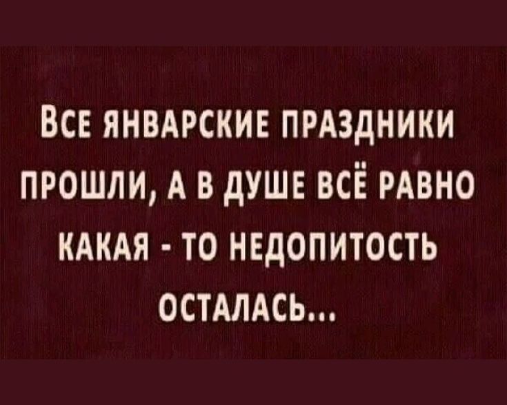 ВСЕ ЯНВАРСКИЕ ПРАЗДНИКИ ПРОШЛИ А В ДУШЕ ВСЁ РАВНО КАКАЯ ТО НЕДОПИТОСТЬ ОСТАЛАСЬ