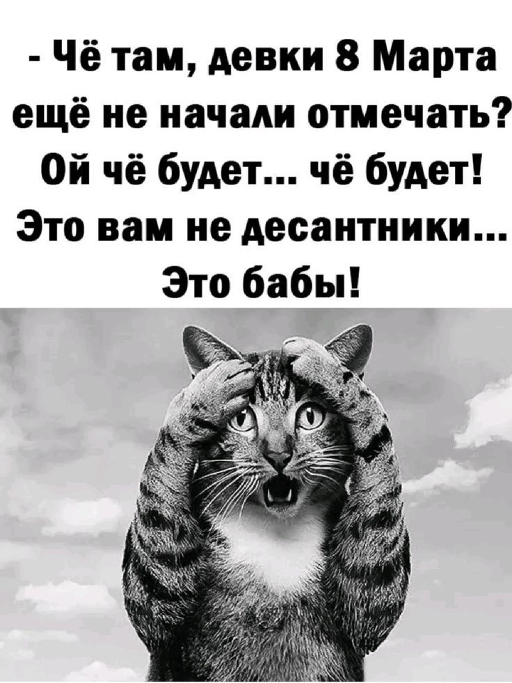 - Чё там, девки 8 Марта ещё не начали отмечать? Ой чё будет… чё будет! Это вам не десантники… Это бабы!
